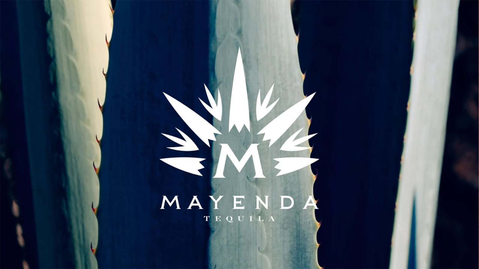 MAYENDA